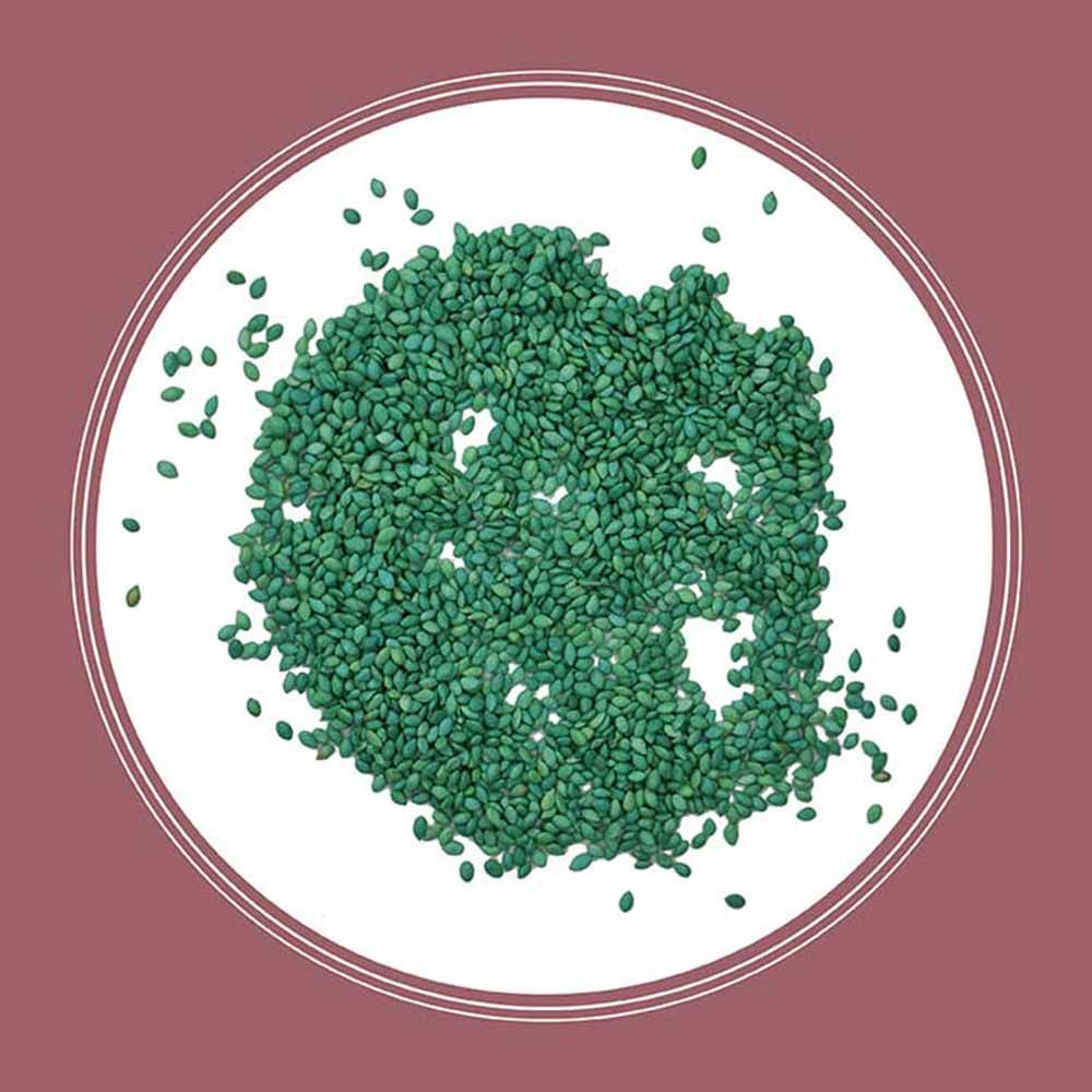 Pennington® Pensacola Bahiagrass Grass Seed