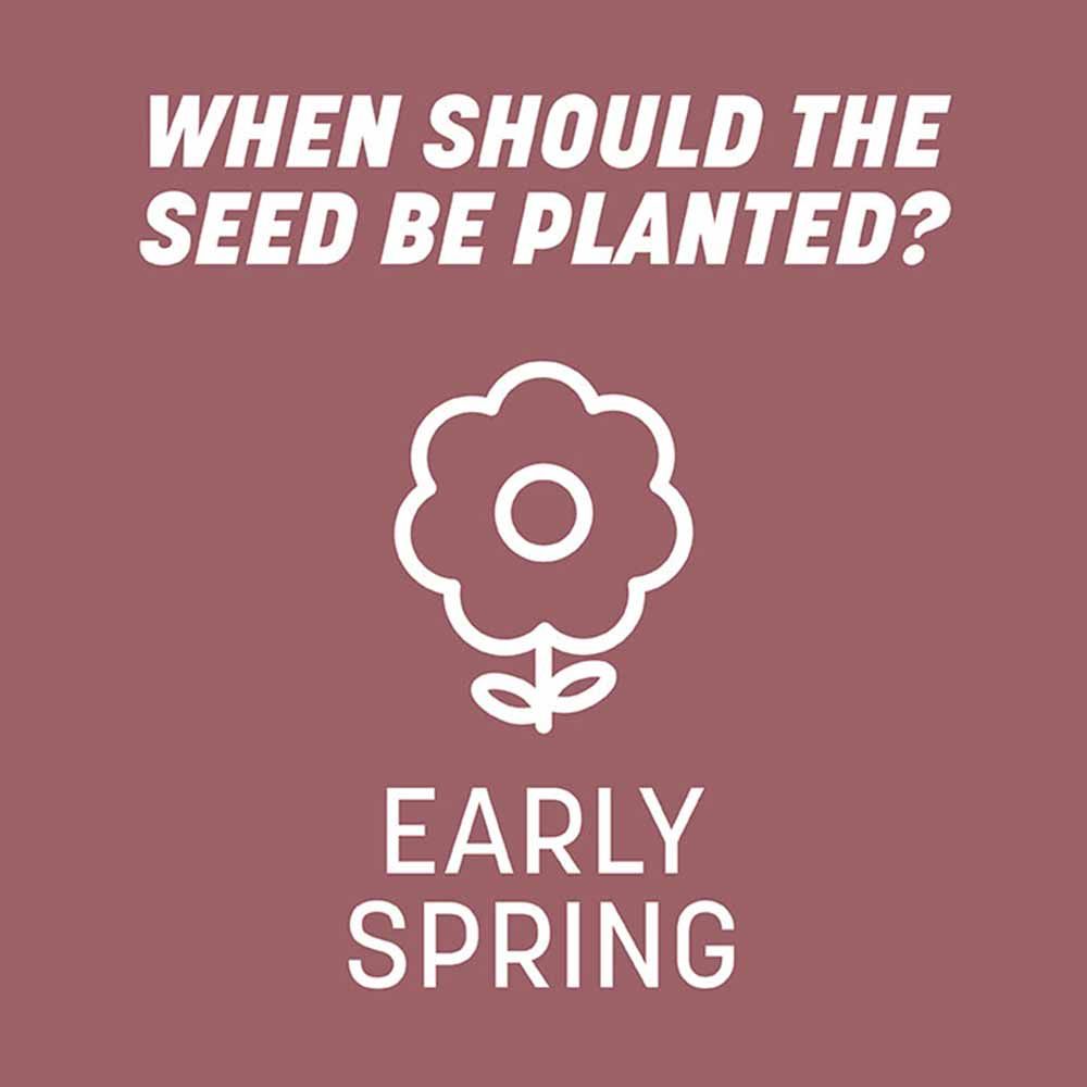 Pennington® Pensacola Bahiagrass Grass Seed
