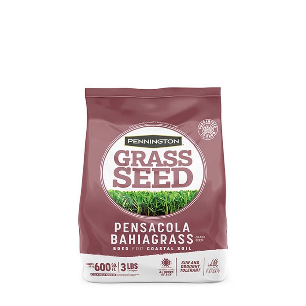 Pennington® Pensacola Bahiagrass Grass Seed