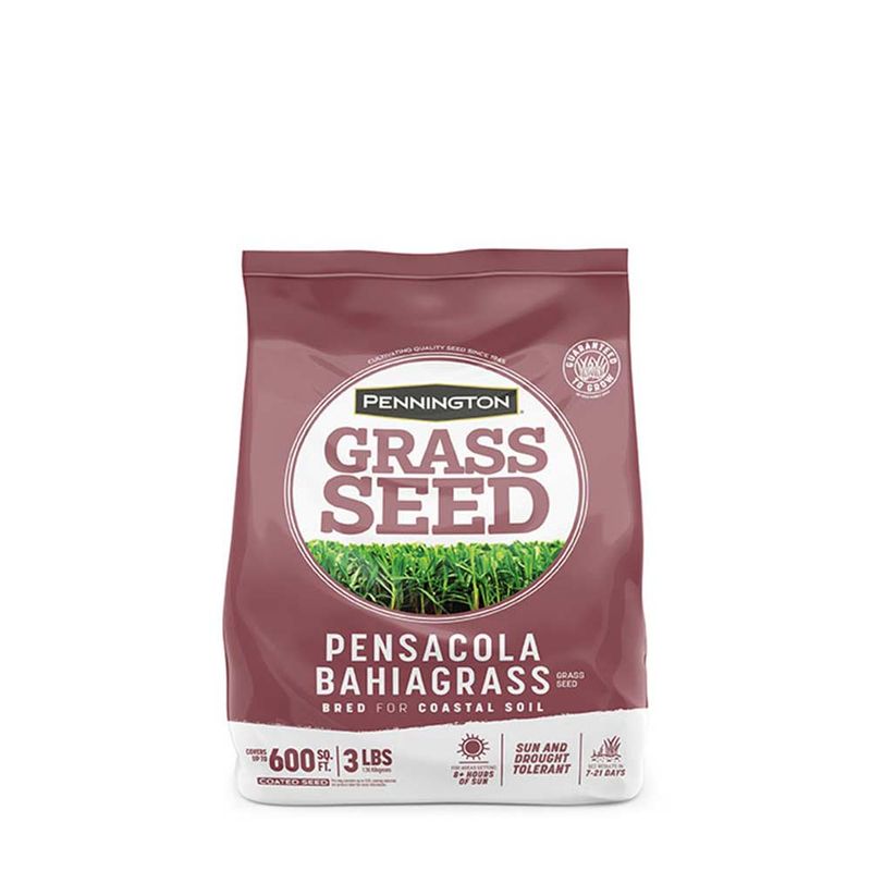 Pennington® Pensacola Bahiagrass Grass Seed Pennington® Pensacola Bahiagrass Grass Seed