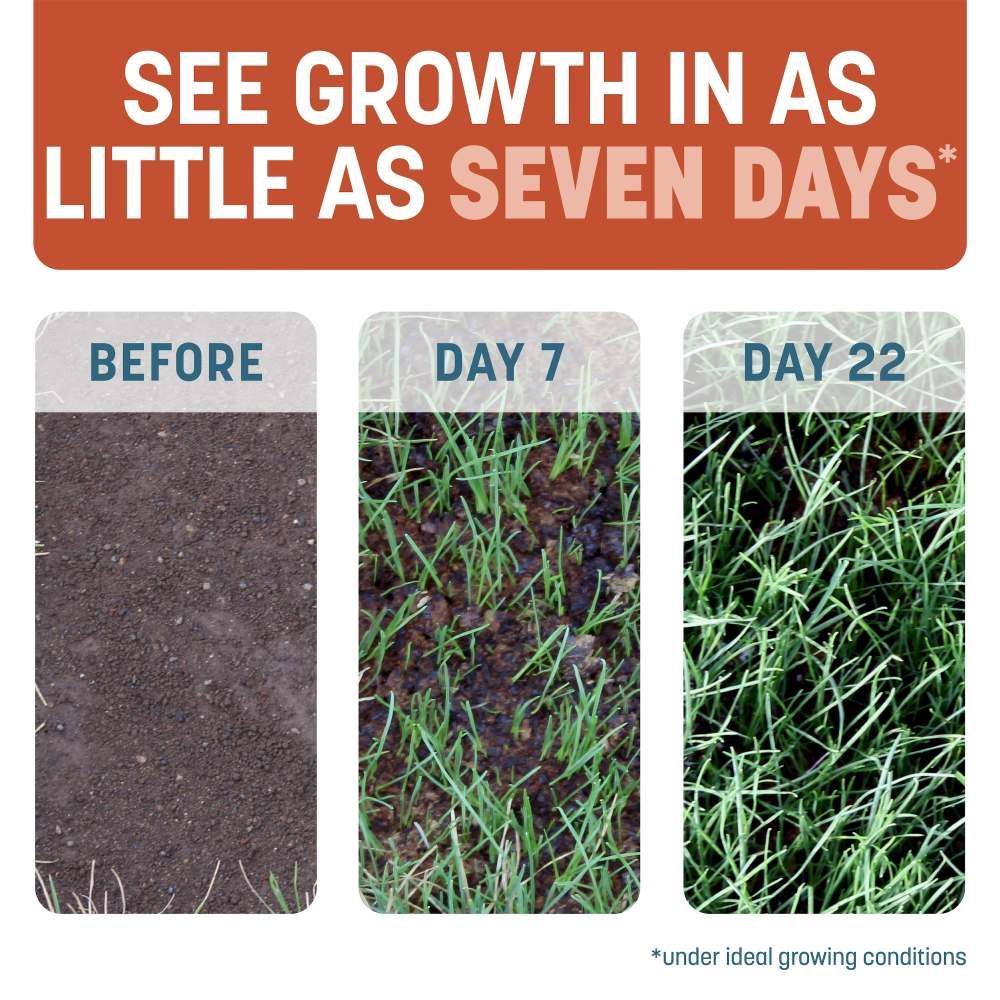 Pennington® Smart Patch Bermudagrass Mix