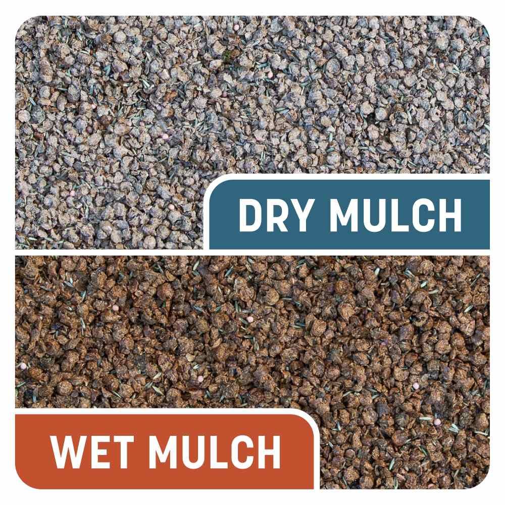 Pennington® Smart Patch Bermudagrass Mix