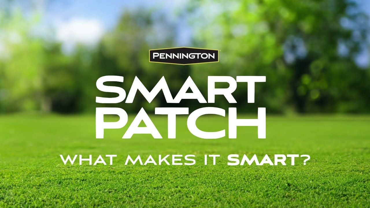 Pennington® Smart Patch Bermudagrass Mix