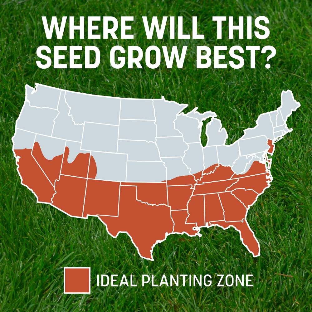 Pennington® Smart Patch Bermudagrass Mix