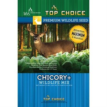 Wetsel Seed™ Top Choice Chicory Plus Seed Mix Wetsel Seed™ Top Choice Chicory Plus Seed Mix