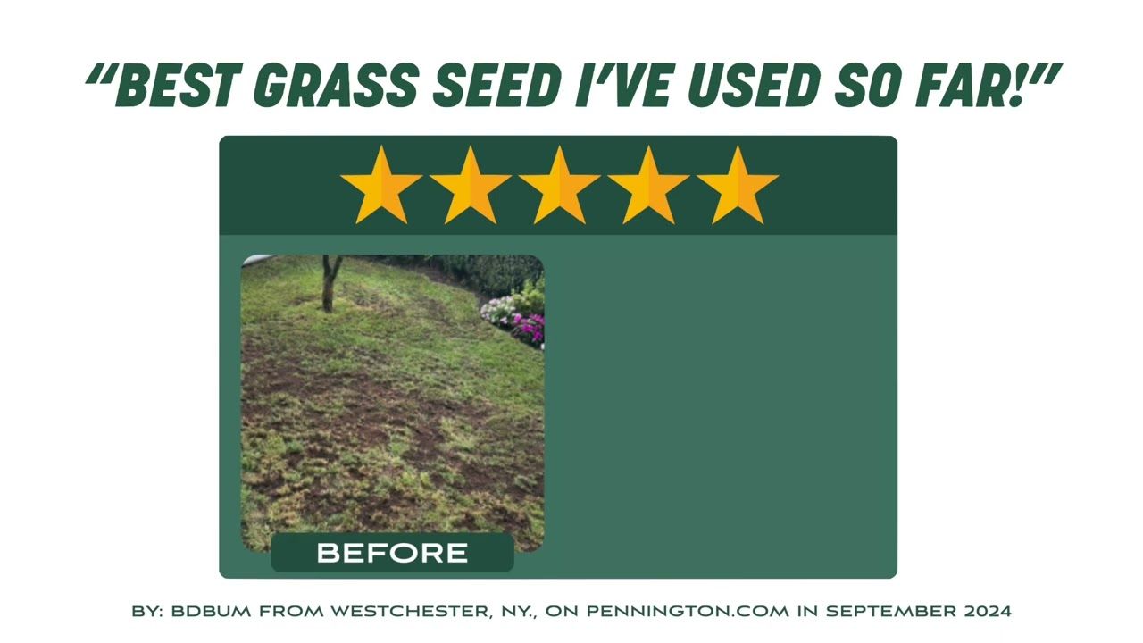 Pennington® Smart Seed® Texas Bermudagrass Grass Seed &amp; Fertilizer Mix