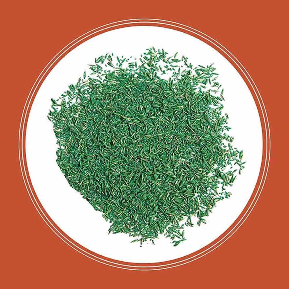 Pennington® Smart Seed® Texas Bermudagrass Grass Seed &amp; Fertilizer Mix