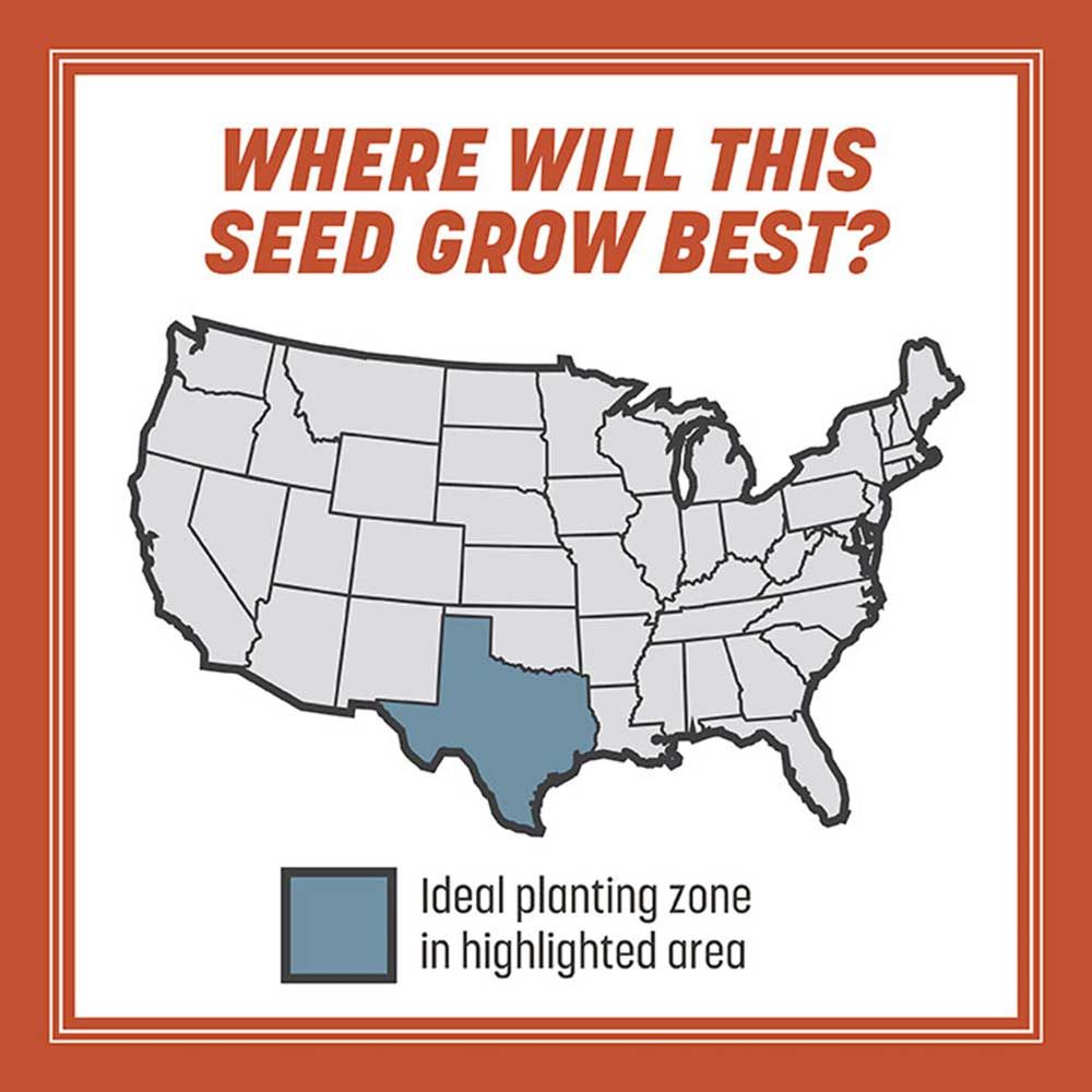 Pennington® Smart Seed® Texas Bermudagrass Grass Seed &amp; Fertilizer Mix