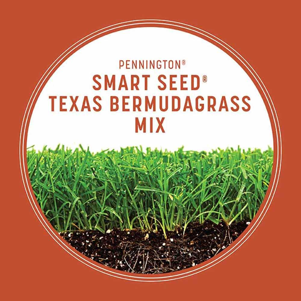 Pennington® Smart Seed® Texas Bermudagrass Grass Seed &amp; Fertilizer Mix