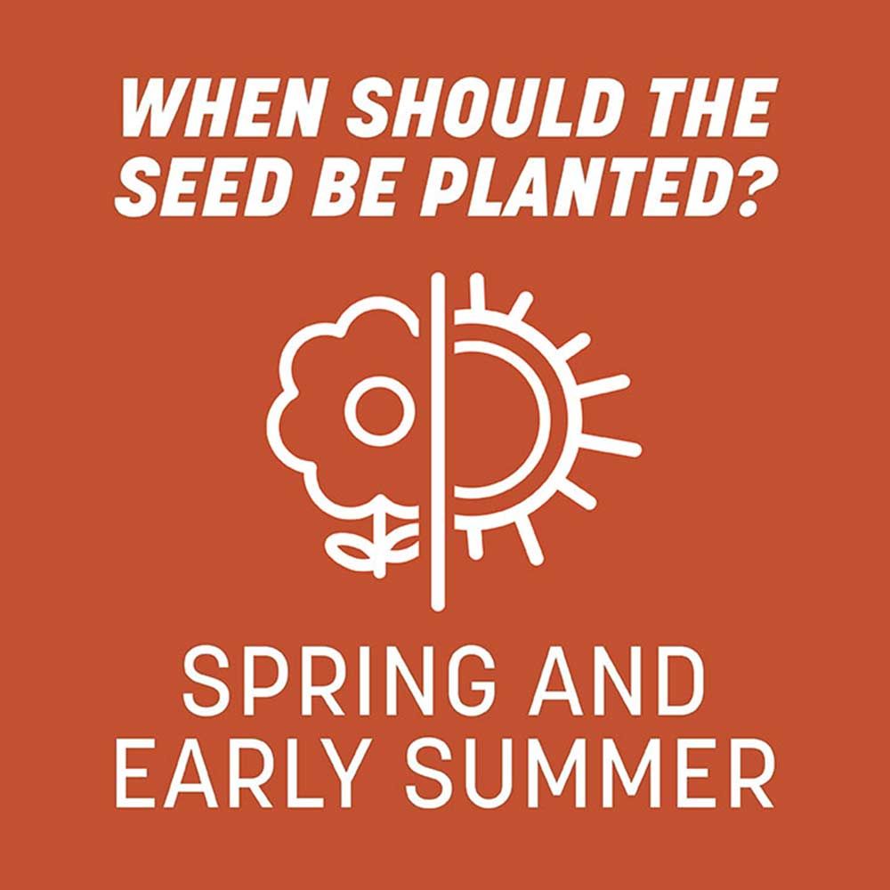 Pennington® Smart Seed® Texas Bermudagrass Grass Seed &amp; Fertilizer Mix