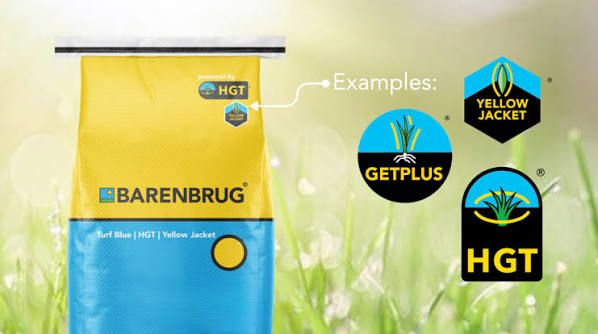 Barenbrug® Grit™ Premium Seeded Bermudagrass