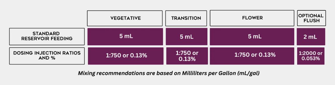 Cutting Edge Solutions Cal-Mag Amplified