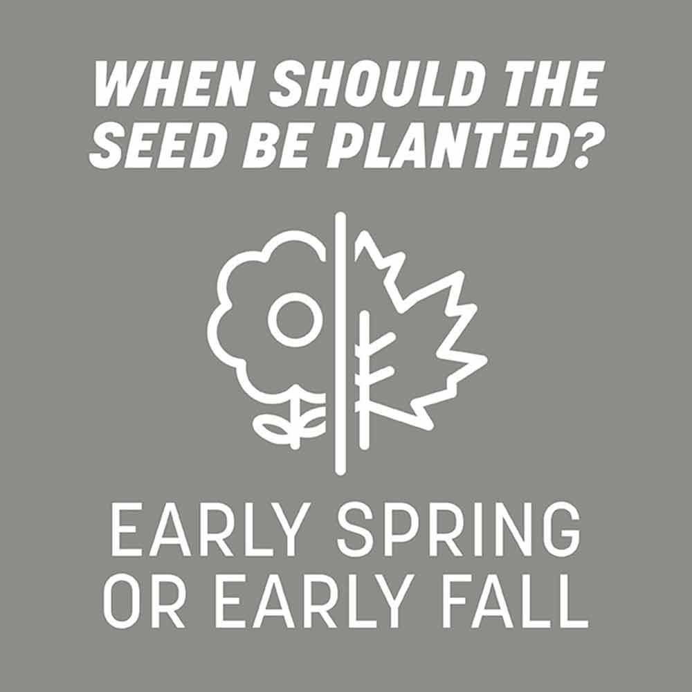 Pennington® Central Contractors Grass Seed Mix