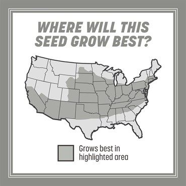Pennington® Central Contractors Grass Seed Mix