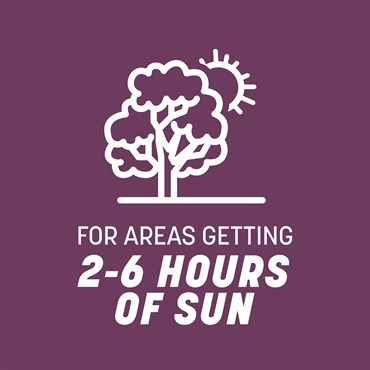 Pennington® The Rebels® Shady Lawn Grass Seed Blend