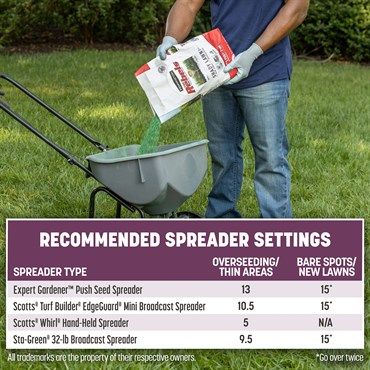 Pennington® The Rebels® Shady Lawn Grass Seed Blend