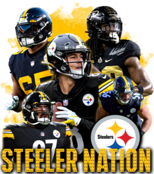 Steelers Bic Lighter