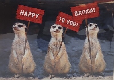 KARTEN & SCHILDER & BÜCHER