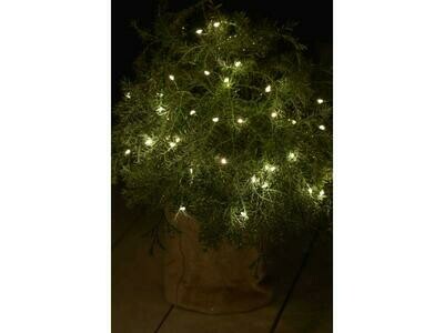 Sirius LED Lichterkette Knirke, clear green, 40 LED