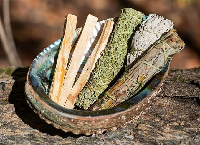Abalone Shell Smudge Bowl Seashell  Incense Burner -3&quot; by 2.5&quot;
