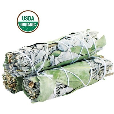 Eucalyptus White Sage Organic Smudge Sticks 4&quot;