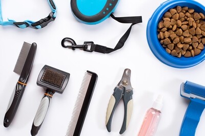 Pet Accessories