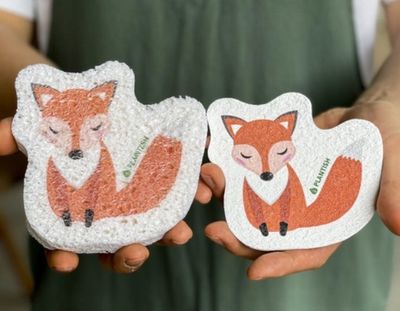 Fox - Pop Up Sponge
