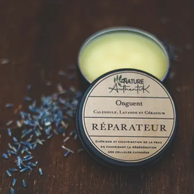 Nature Authentik Repartauer Repair Ointment For Skin