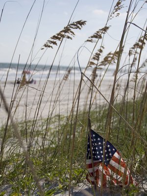 American Shoreline Print