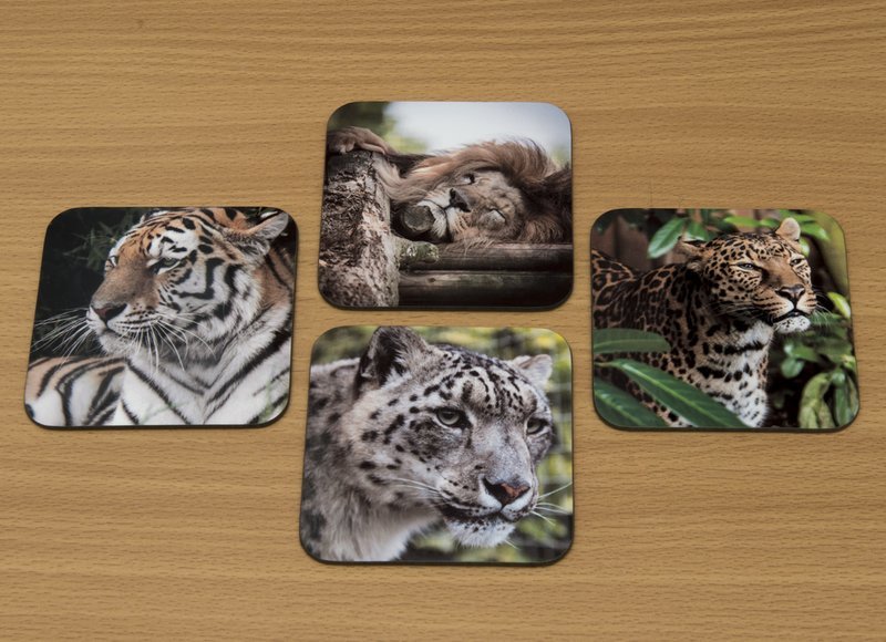 Big cat coaster set