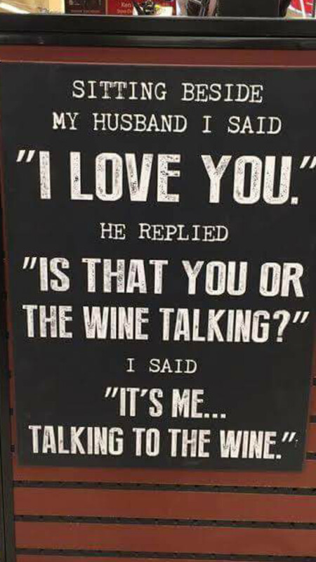 Decorative Wall - Is that You or the Wine