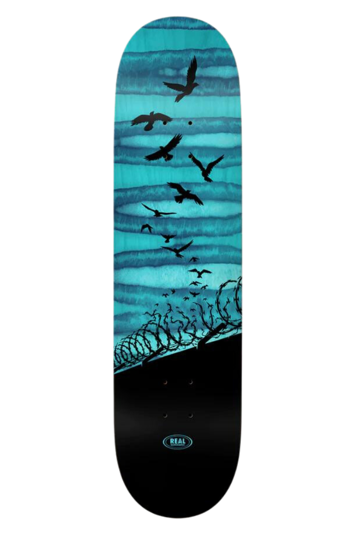 SET FREE SPECTRUM 8.25&quot; DECK