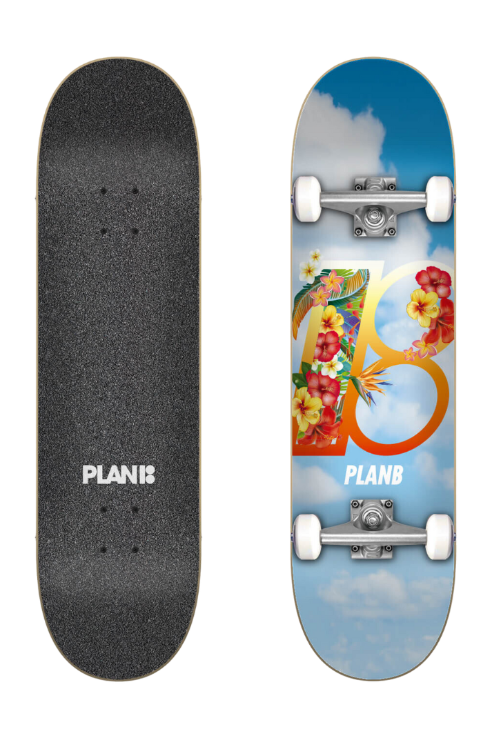 HAWAII 8.25&quot; COMPLETE SKATEBOARD