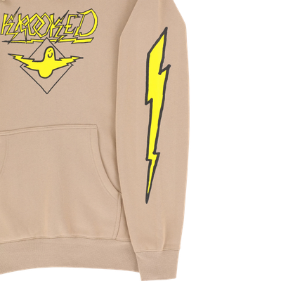 BIRD LIGHTENING SLEEVE PULLOVER HOODIE