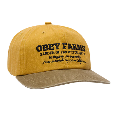FARMS PIGMENT STRAPBACK