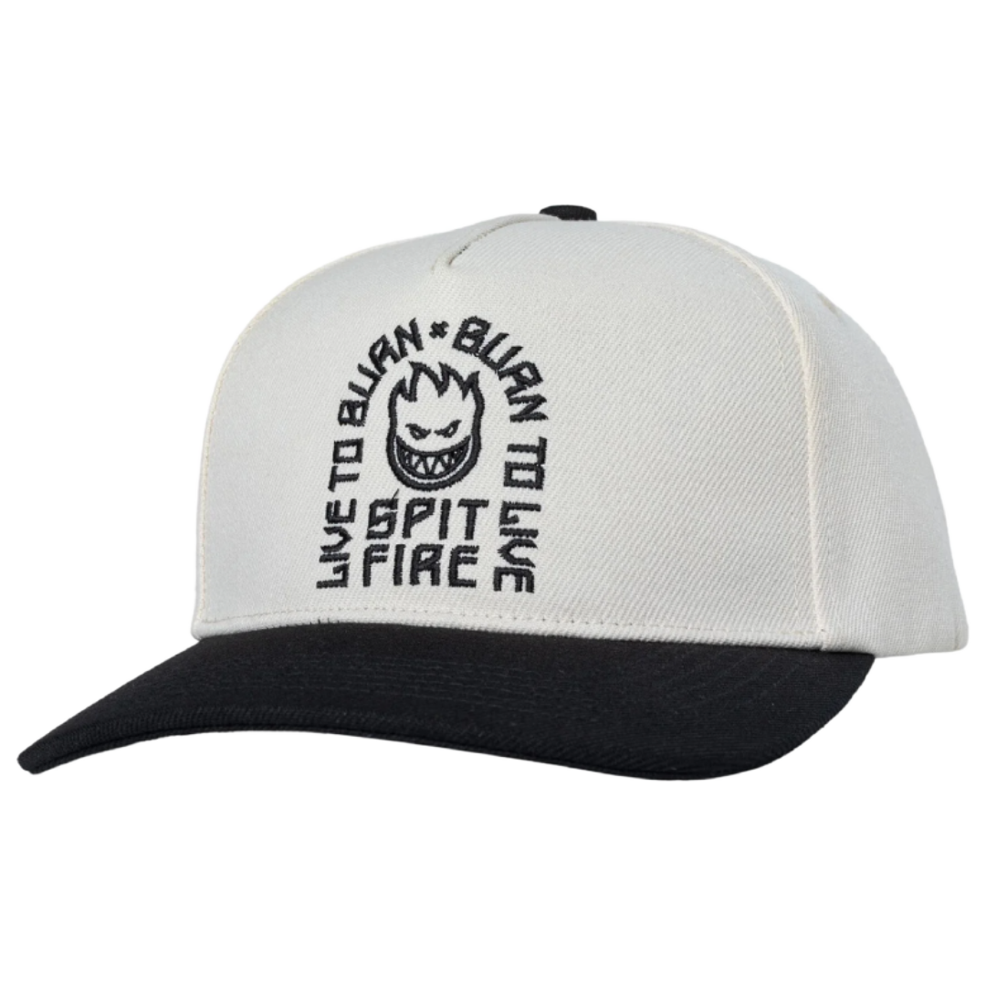LTB ARCH SNAPBACK