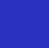 Nikolay Ella Camisole Leotard DA2001 - S Royal Blue
