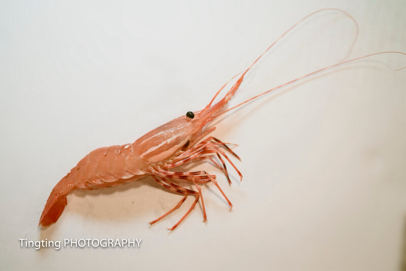 Spot Prawns｜珊瑚虾｜牡丹虾｜斑点虾