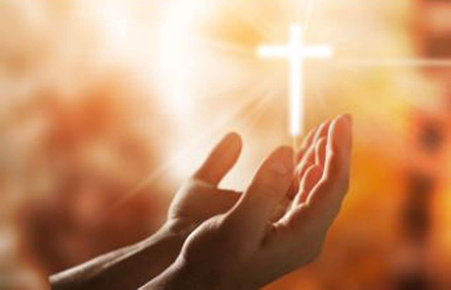 CHRISTIAN LABOR MISSION DONATION - $50