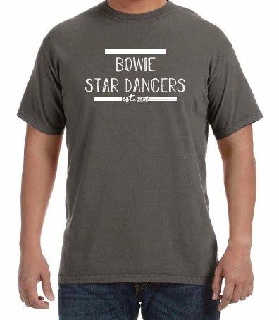 Item 3 - SD Gray (est 18) Star Dancers Tee