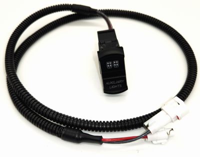 AUX FRONT WHITE LIGHTS SWITCH W/HARNESS