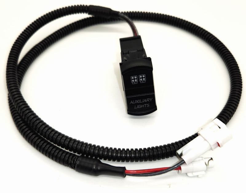 AUX FRONT WHITE LIGHTS SWITCH W/HARNESS