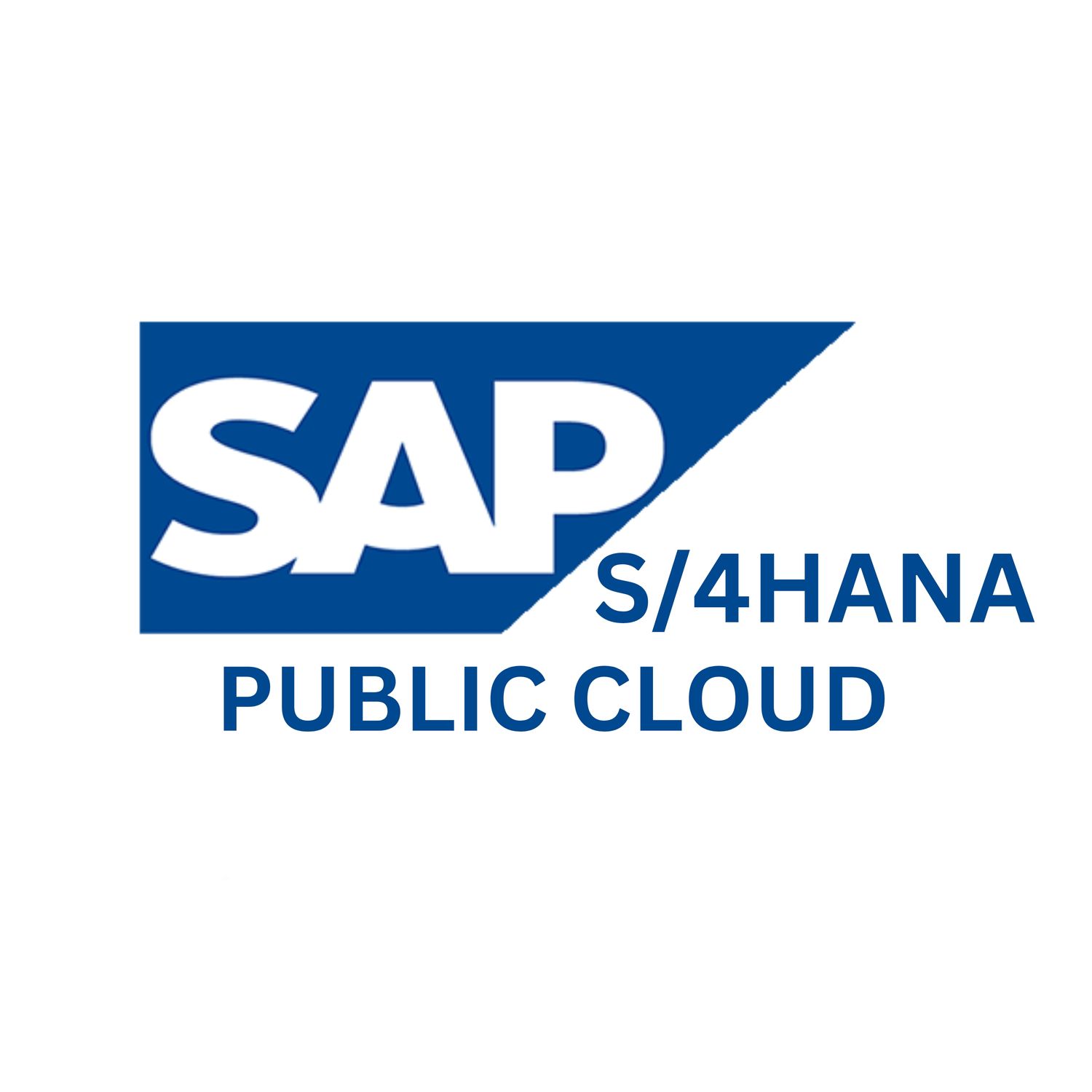 SAP S/4HANA Public Cloud Training Server