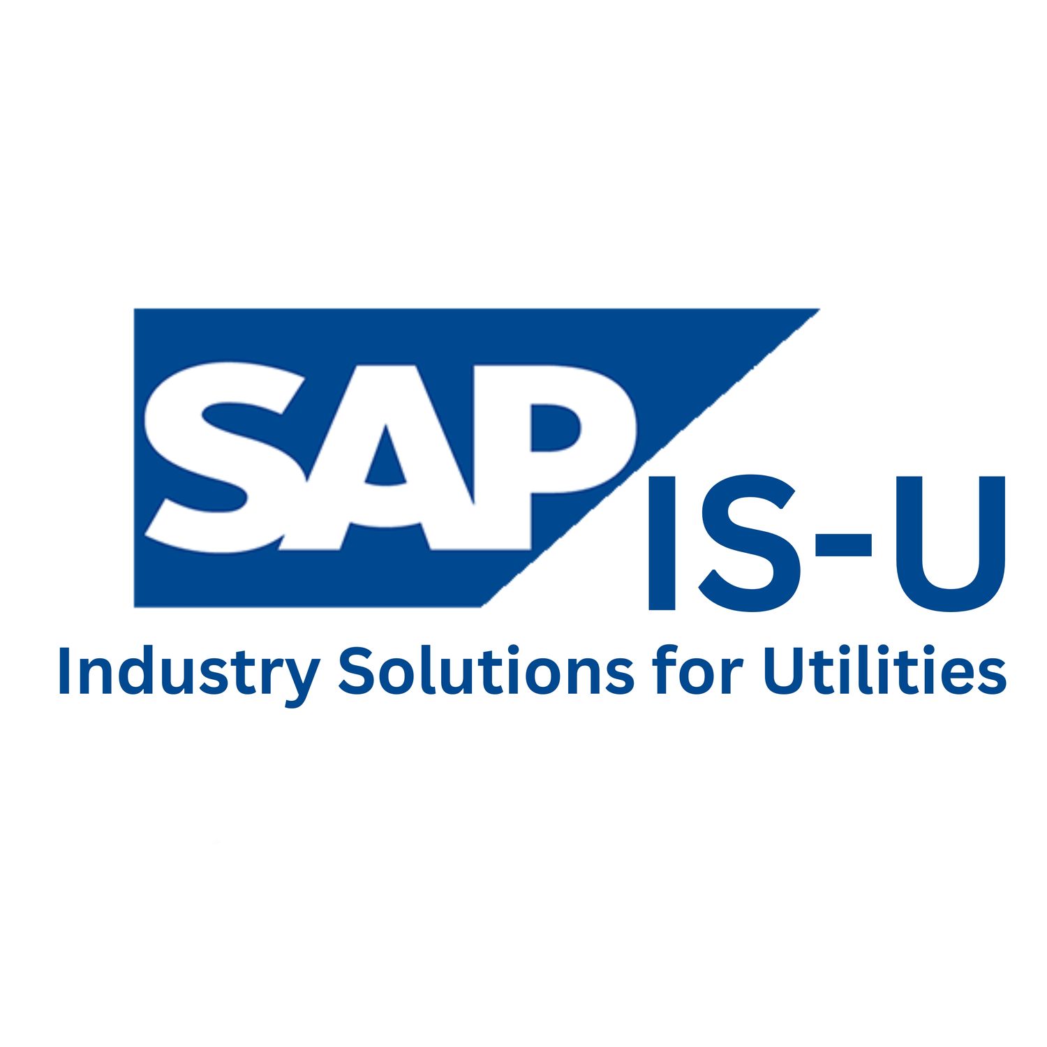 SAP S4/ISU CTRM