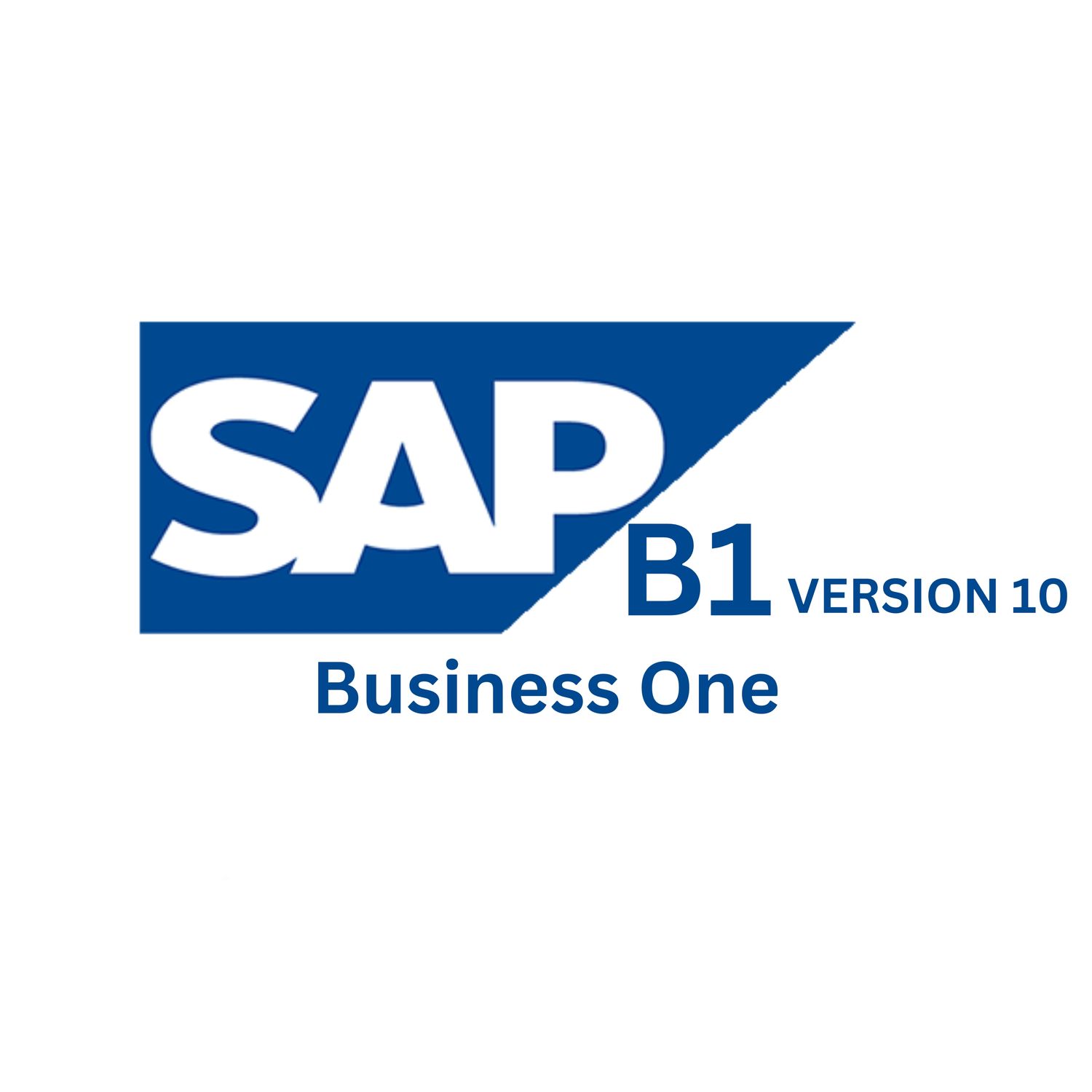 SAP Business One 10.0