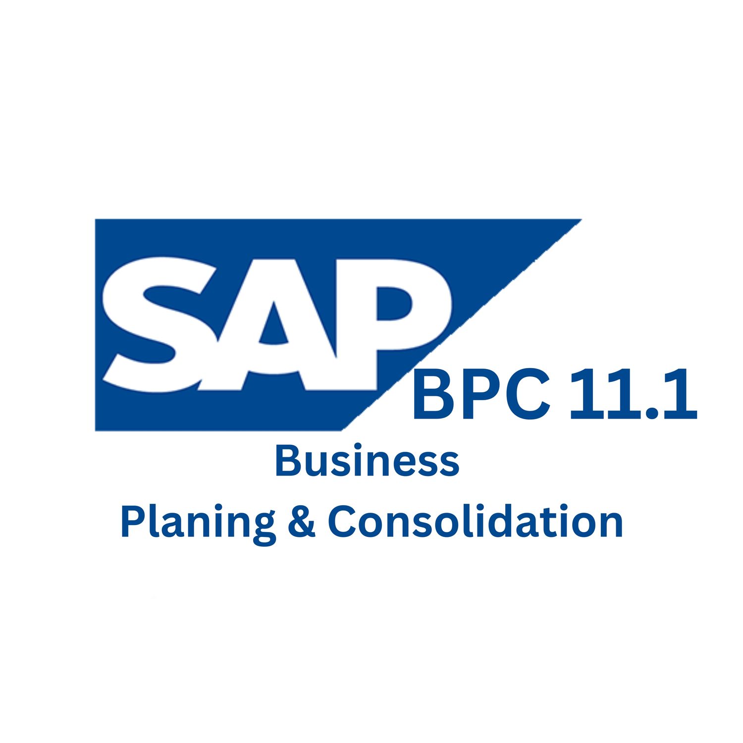 SAP BPC 11.1