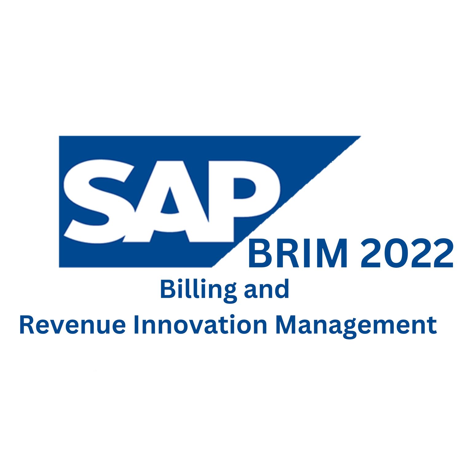 SAP BRIM 2022