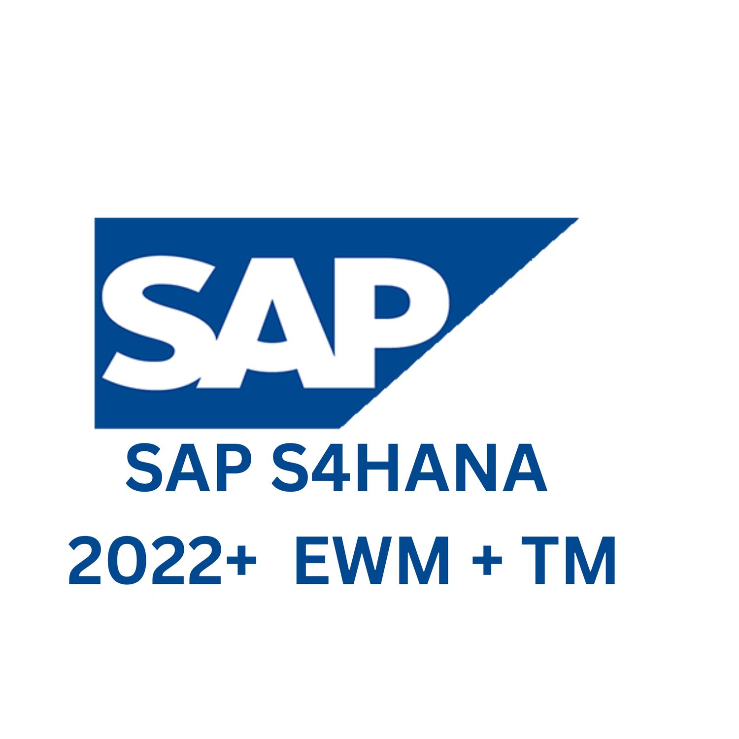 SAP S4HANA 2023 + EWM + TM
