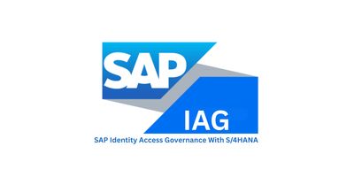 SAP IAG Consulting Server
