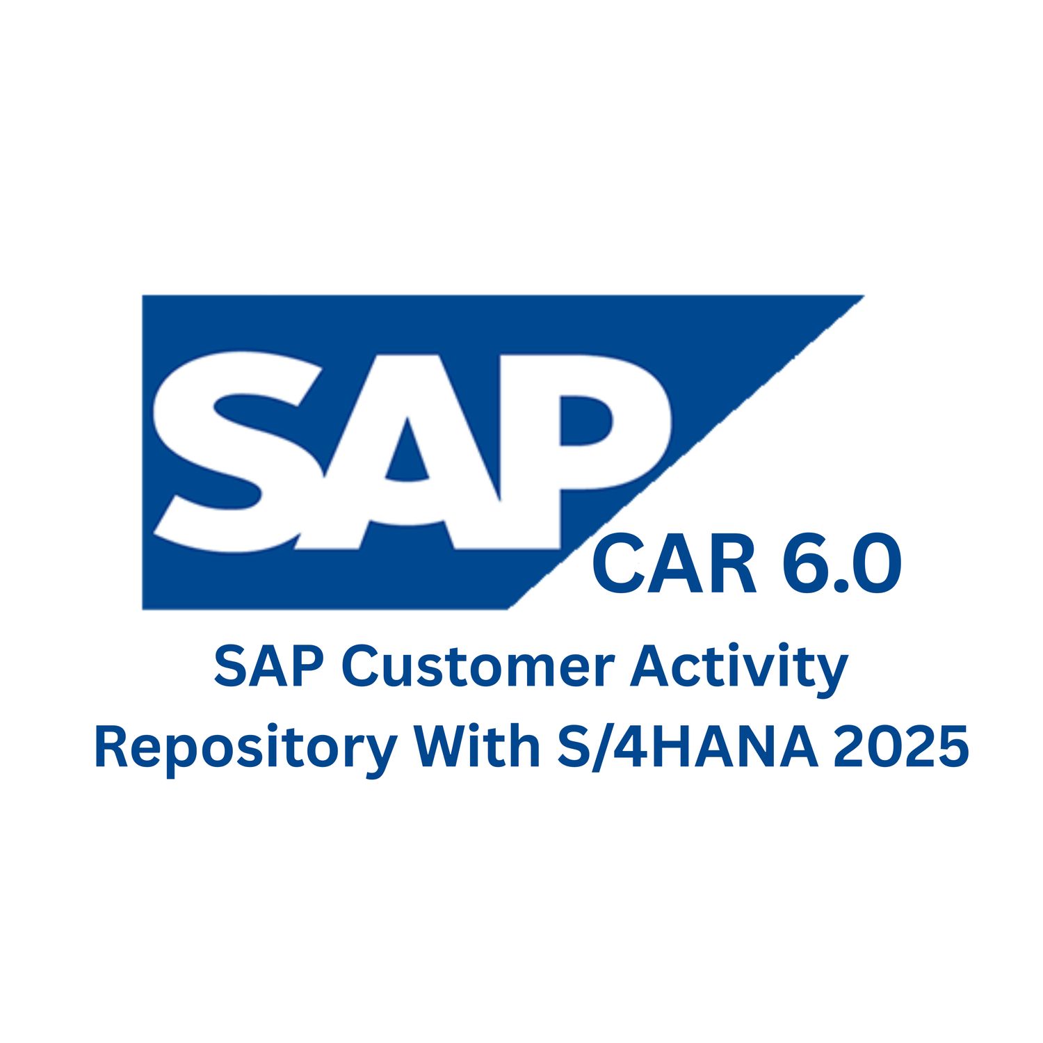 SAP CAR 6.0